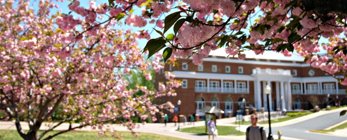 University of Mary Washington » Where Great Minds Get to Work