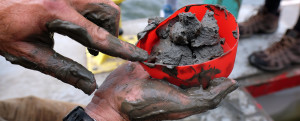 A core sample yields oyster specimens that are encapsulated in the estuarine mud.