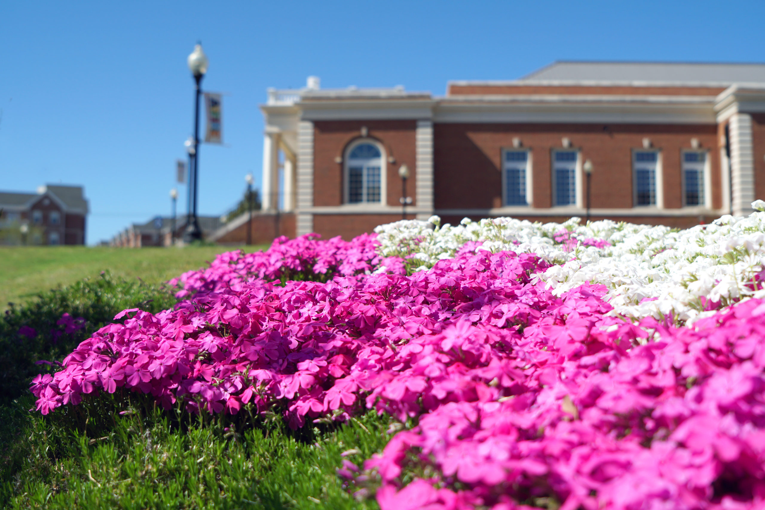 umw-earns-spot-in-top-selling-fiske-guide-to-colleges-2022-news