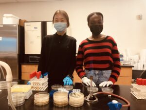 Lee (left) and Abigail Delapenha took UMW's first-year Phage Hunters course, which has students doing hands-on research. They both received early admission to the George Washington University School of Medicine and Health Sciences.