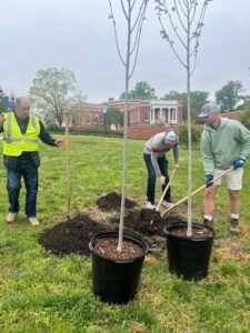 UMW community members help plant basswood trees near the Cedric Rucker University Center this past Arbor Day. Photo by Holly Chichester-Morby.