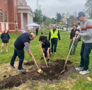 UMW community members help plant basswood trees near the Cedric Rucker University Center this past Arbor Day. Photo by Holly Chichester-Morby.
