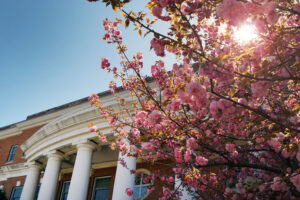 Nearly 90% of UMW graduates have secured employment, started graduate school or decided to serve in the military, AmeriCorps or the Peace Corps within six months of graduation.