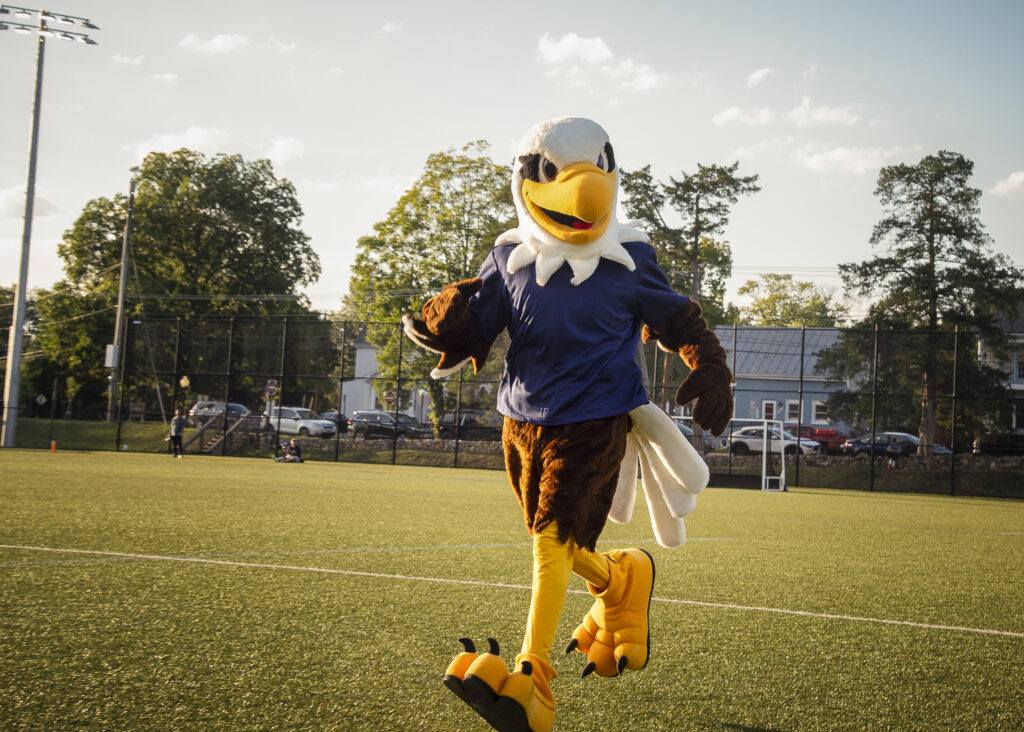 How to Be an Early Bird – UMW Admissions Advice for Future Eagles - News